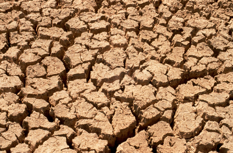 CSIRO ScienceImage 607 Effects of Drought on the Soil — Sécheresse, sol et résistance : le trio mortel